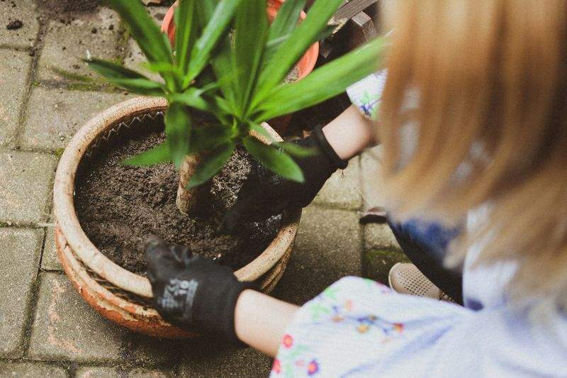 お手入れが楽になる植栽デザインの考え方